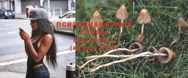 эйфоретик Бронницы