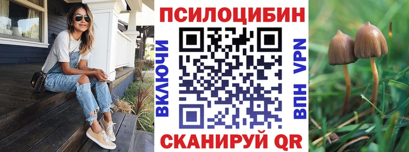 Купить закладки  Алупка  Псилоцибиновые грибы GOLDEN TEACHER 