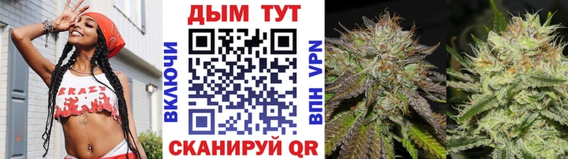 Купить закладки  Алупка  Бошки Шишки Amnesia 